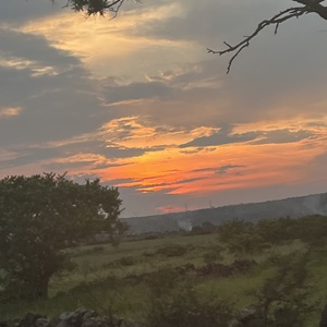 Fundraising Page: Milynda Zambrano